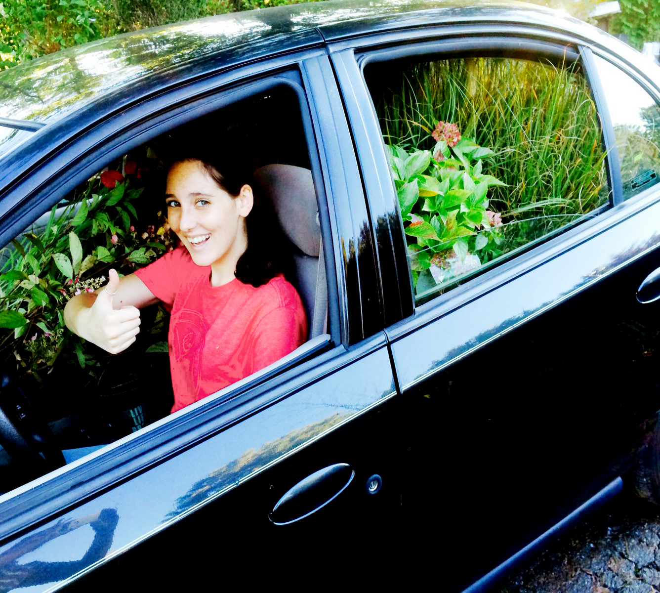 Pflanzeneinkauf mit Auto
