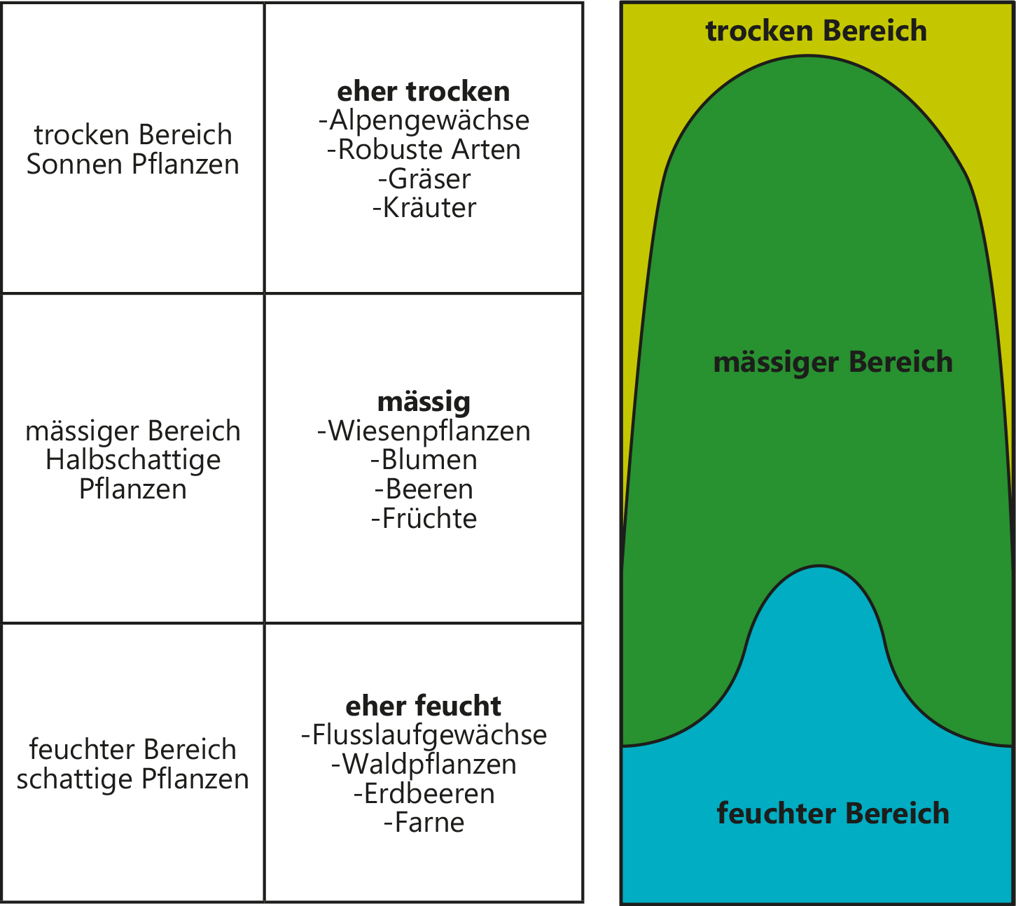Feuchtgebiete Pflanzenwand Vertikalbegrünung Vivit