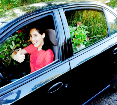 Pflanzen - Welche soll ich für meine Pflanzenwand kaufen? Alles rund um vertikale Begrünung Pflanzeneinkauf mit Auto