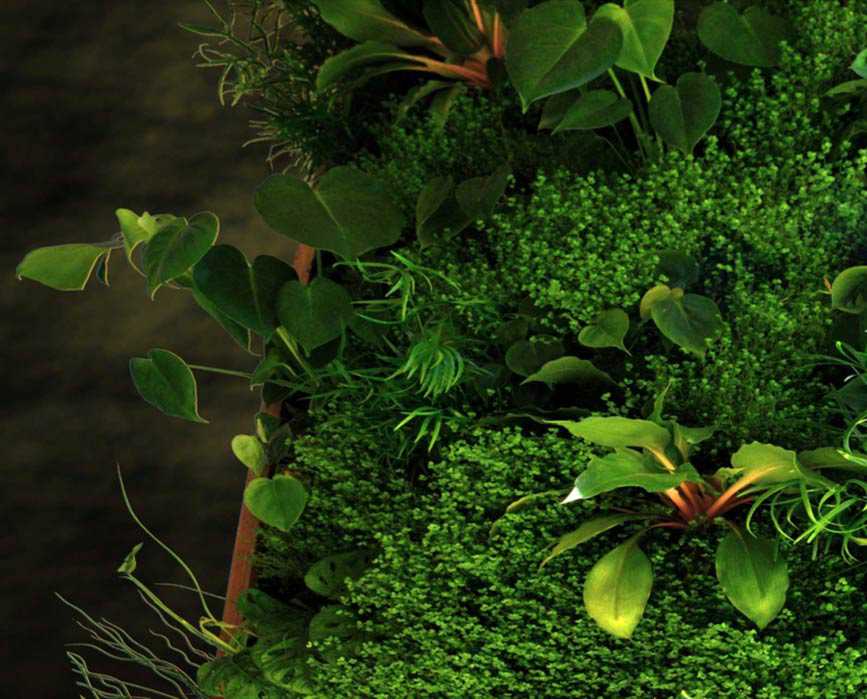 Green Wall mit echten Pflanzen
