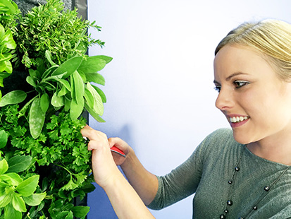 Finde das richtige Licht für deine Pflanzen Alles rund um vertikale Begrünung Pflege Pflanzen - Pflanzenwand Vertikalgarten vertikale Begrünung