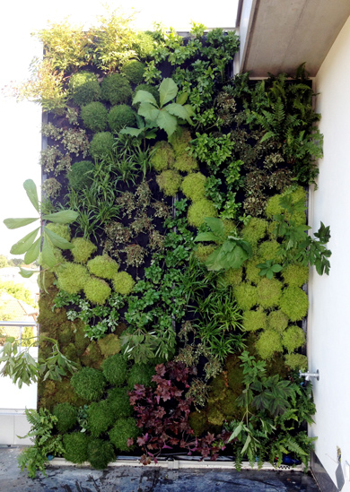 Pflanzen - Welche soll ich für meine Pflanzenwand kaufen? Alles rund um vertikale Begrünung Vertikaler Garten auf Terrasse - Pflanzenwand
