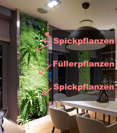 Pflanzen - Welche soll ich für meine Pflanzenwand kaufen? Alles rund um vertikale Begrünung Abendessen - Grüne Wand - Pflanzenwand in Wohnraum