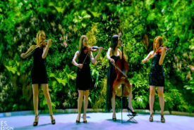 gomes-design-greenwall-violine gomes-design-greenwall-violine
