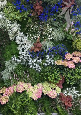 Flower Power Greenwall - Pflanzenwand mit Blumen-Power Flower Power Greenwall - Pflanzenwand mit Blumen-Power
