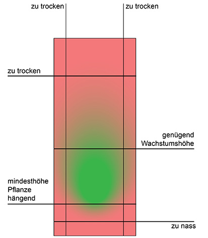 Tagebuch einer Vanillepflanze Alles rund um vertikale Begrünung Schema für die Lage der Vanillepflanze in der Pflanzenwand