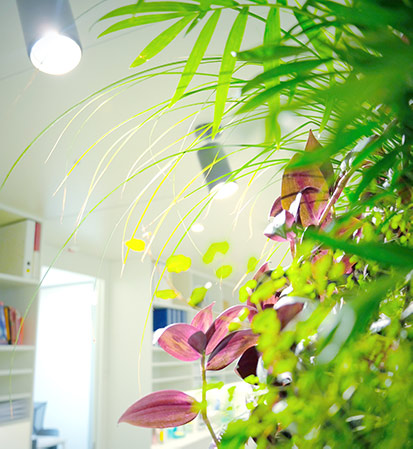 Grün an der Wand mit LIcht