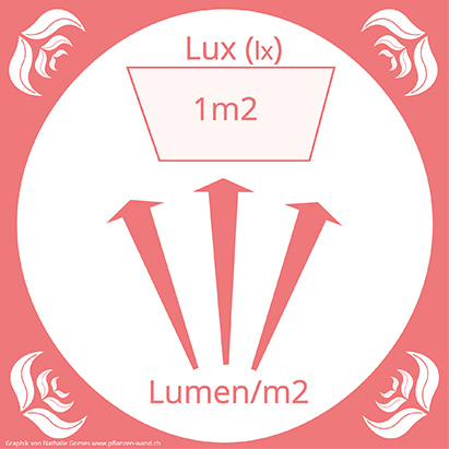 Finde das richtige Licht für deine Pflanzen Alles rund um vertikale Begrünung Lux Lumen Schema