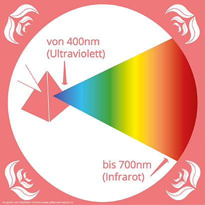 Licht Spektrum