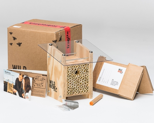 Meine neuen Bienenfreunde in der vertikalen Pflanzenwelt Alles rund um vertikale Begrünung Meine neuen Bienenfreunde in der vertikalen Pflanzenwelt Nathalie's Pflanzenwand