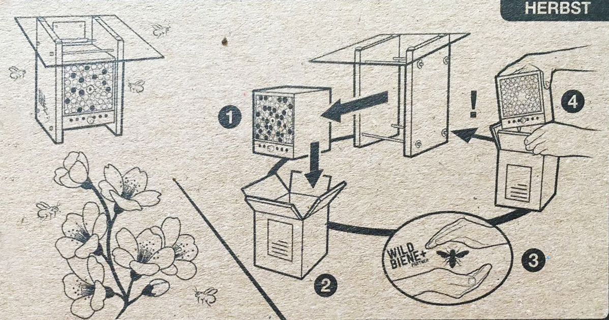 Meine neuen Bienenfreunde in der vertikalen Pflanzenwelt Alles rund um vertikale Begrünung Meine neuen Bienenfreunde in der vertikalen Pflanzenwelt Nathalie's Pflanzenwand