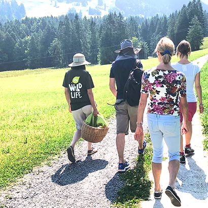 Essbare Wildpflanzen Alles rund um vertikale Begrünung Wanderung aufs Hochstuckli - Wildpflanzen Exkursion