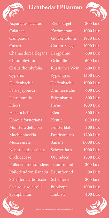 Lichtbedarf Pflanzen