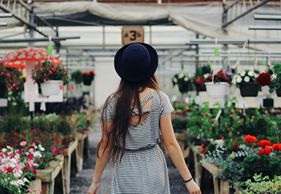 Finde das richtige Licht für deine Pflanzen Alles rund um vertikale Begrünung Blumen und Pflanzen einkaufen