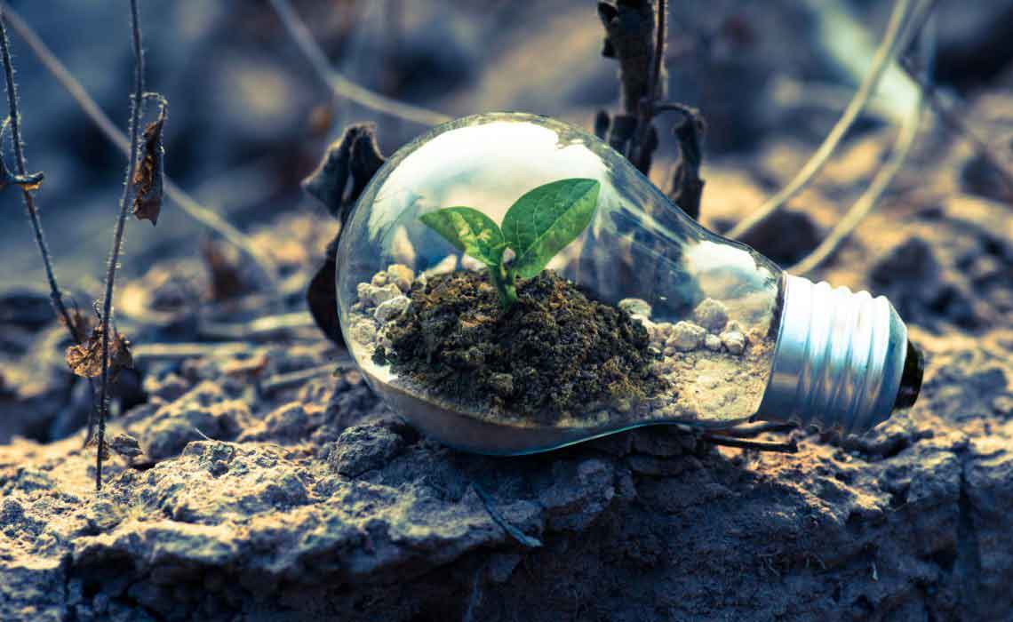 Licht geht auf Pflanzen und Wände