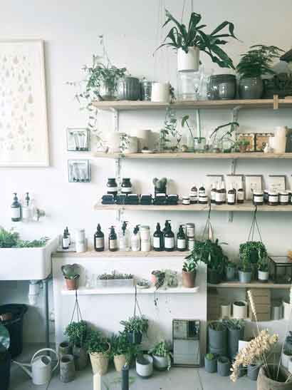Pflanzen Licht Bild Ambiente