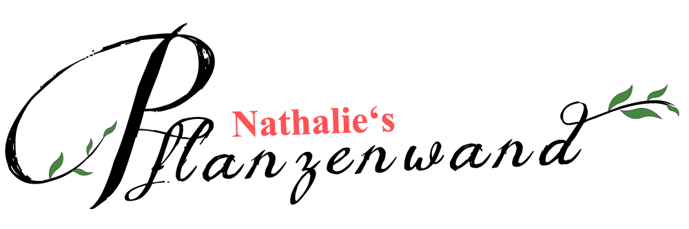 Nathalie's Pflanzenwand